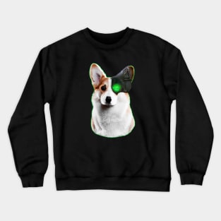 Borgi Crewneck Sweatshirt